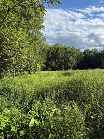 $87,500 | 0 Plum Hollow Court, Dixon, IL 61021