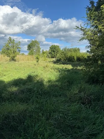 $87,500 | 0 Plum Hollow Court, Dixon, IL 61021