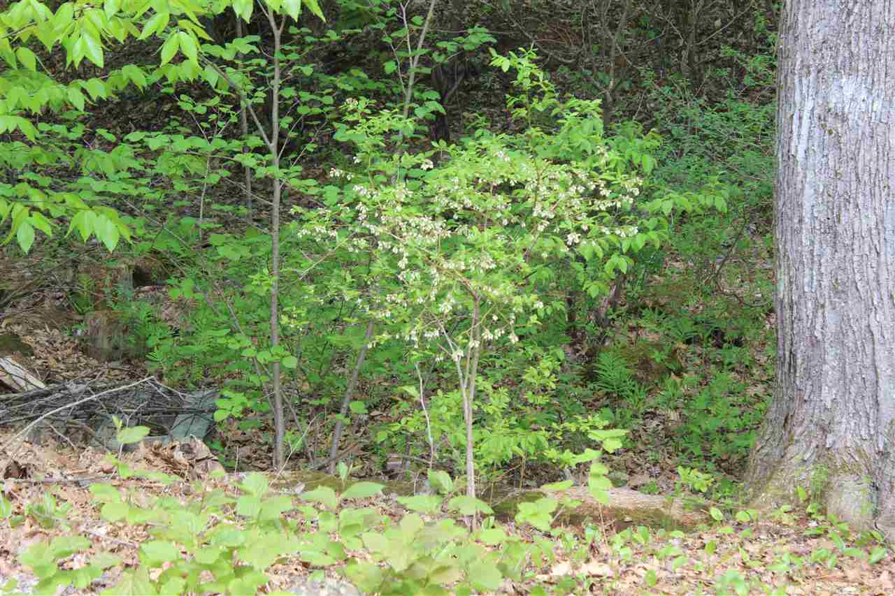 131 Watson Road Exeter, NH 03833 - Photo 26 of 39
