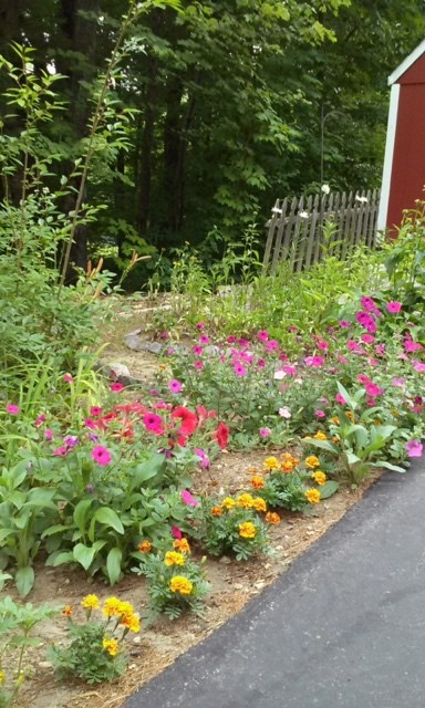 131 Watson Road Exeter, NH 03833 - Photo 29 of 39
