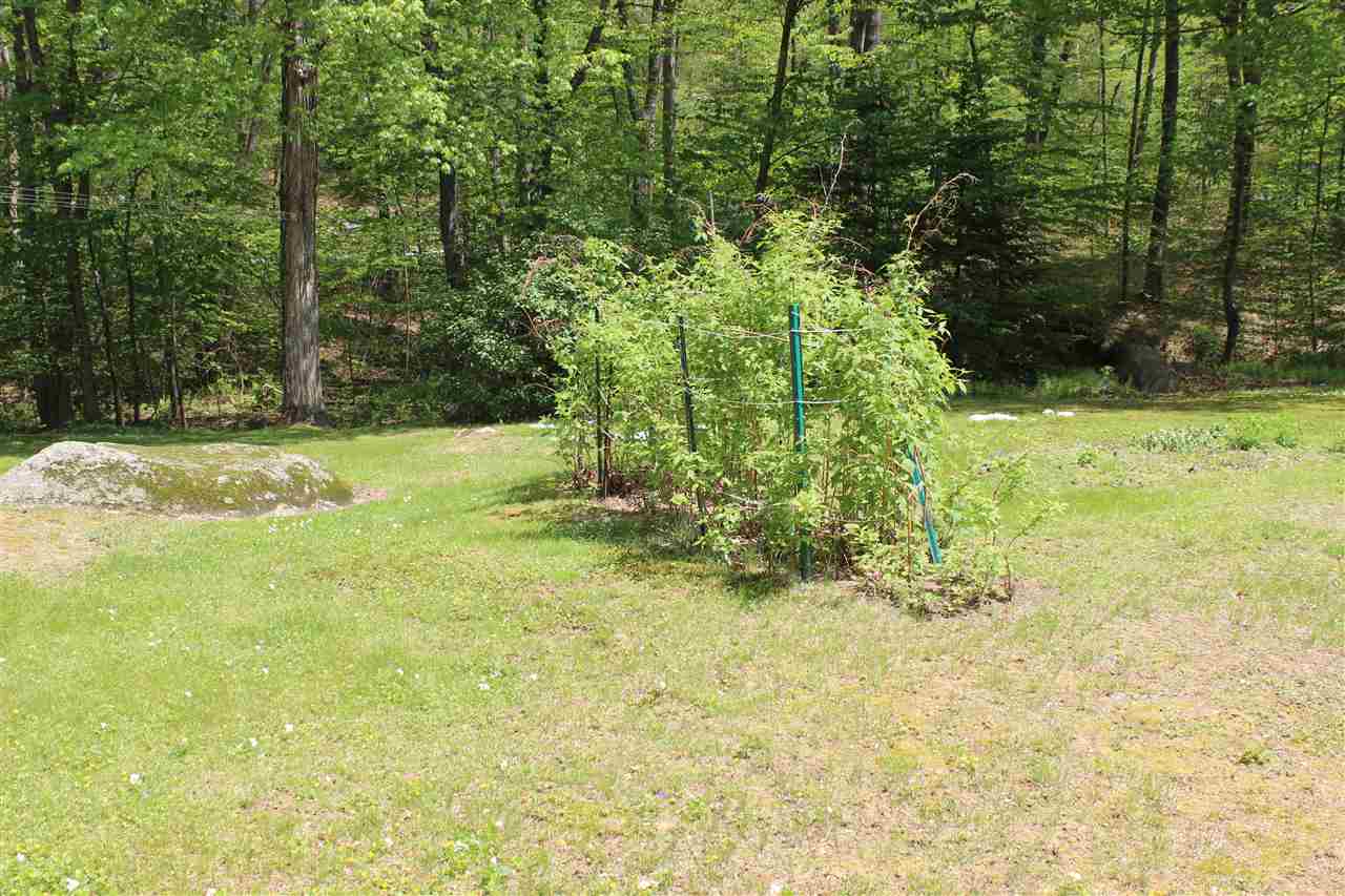 131 Watson Road Exeter, NH 03833 - Photo 38 of 39