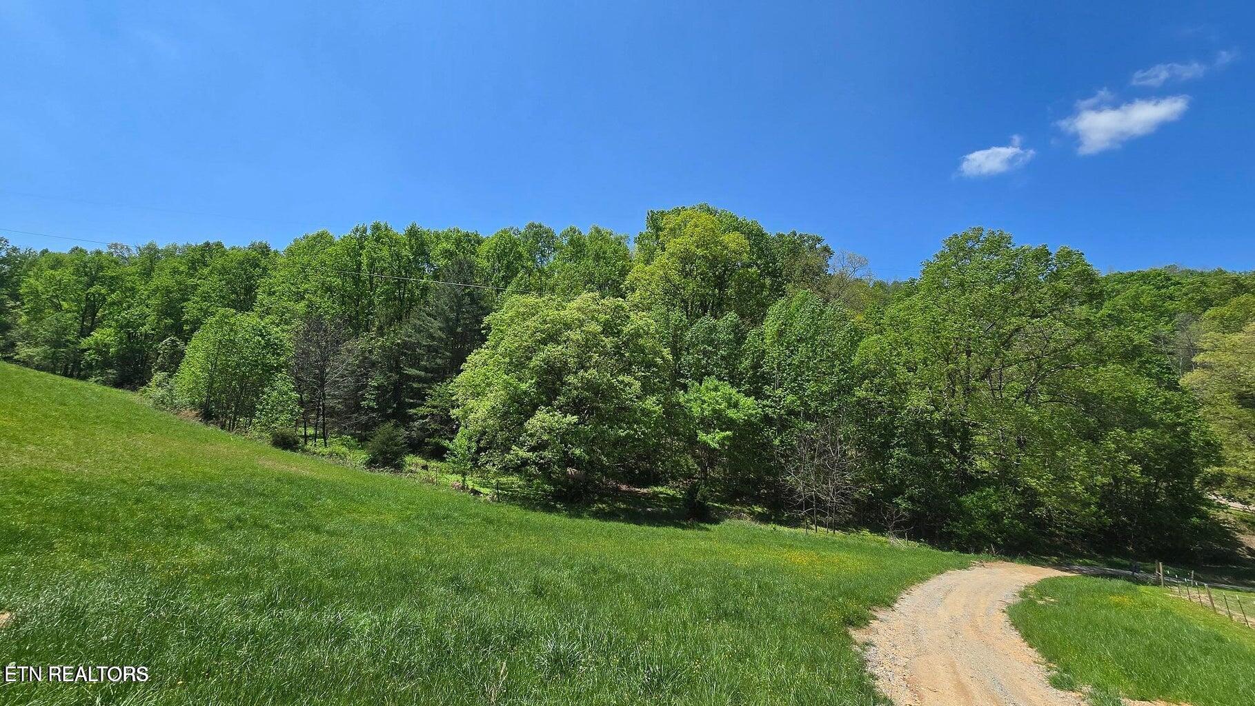 Lot 8 Dooley Hollow Road Ewing, VA 24248 - Photo 17 of 18 Dooley Photo 11