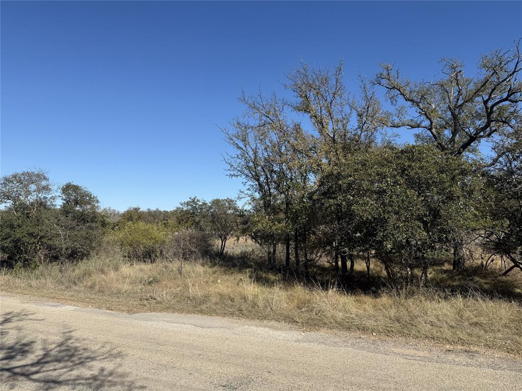 Tbd Harbor Drive May, TX 76857 - Photo 1 of 15