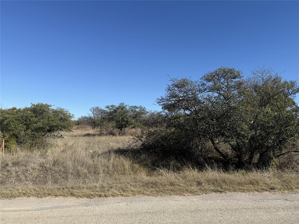 Tbd Harbor Drive May, TX 76857 - Photo 12 of 15