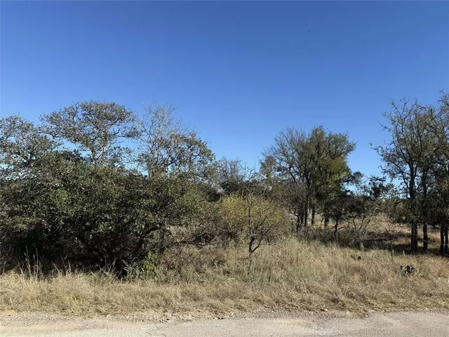 a view of a dry yard with trees