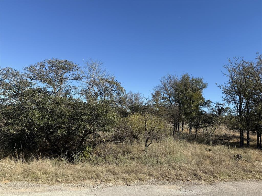 Tbd Harbor Drive May, TX 76857 - Photo 13 of 15