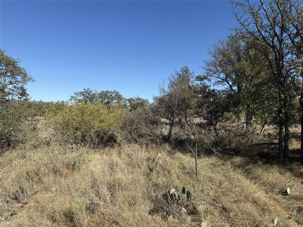 Tbd Harbor Drive May, TX 76857 - Photo 14 of 15