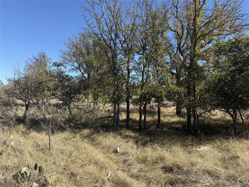 Tbd Harbor Drive May, TX 76857 - Photo 15 of 15