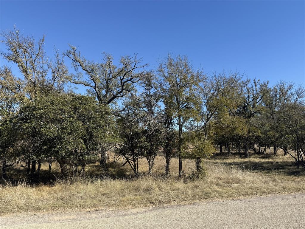 Tbd Harbor Drive May, TX 76857 - Photo 5 of 15