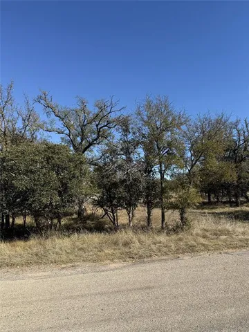 a view of a yard with a tree