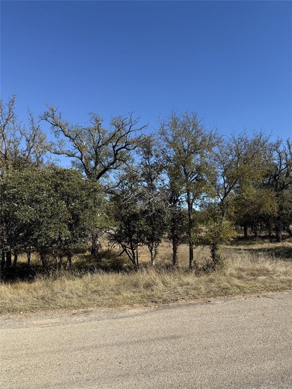 Tbd Harbor Drive May, TX 76857 - Photo 6 of 15