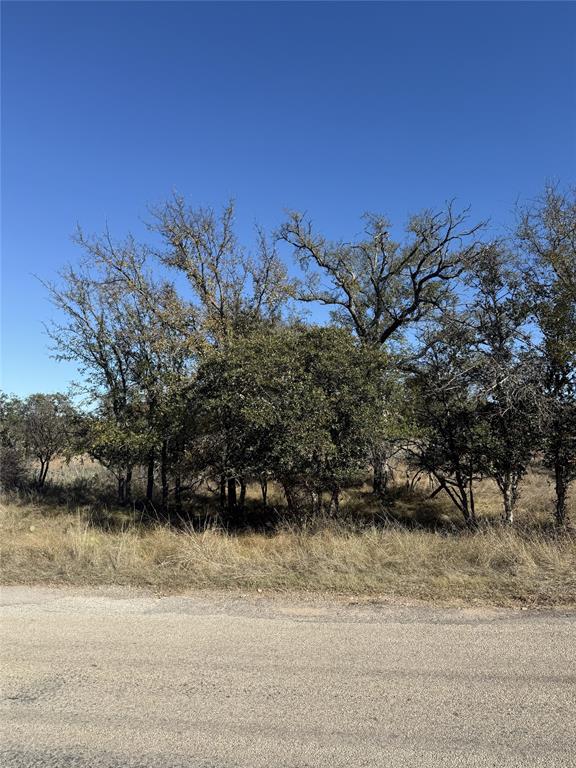 Tbd Harbor Drive May, TX 76857 - Photo 8 of 15