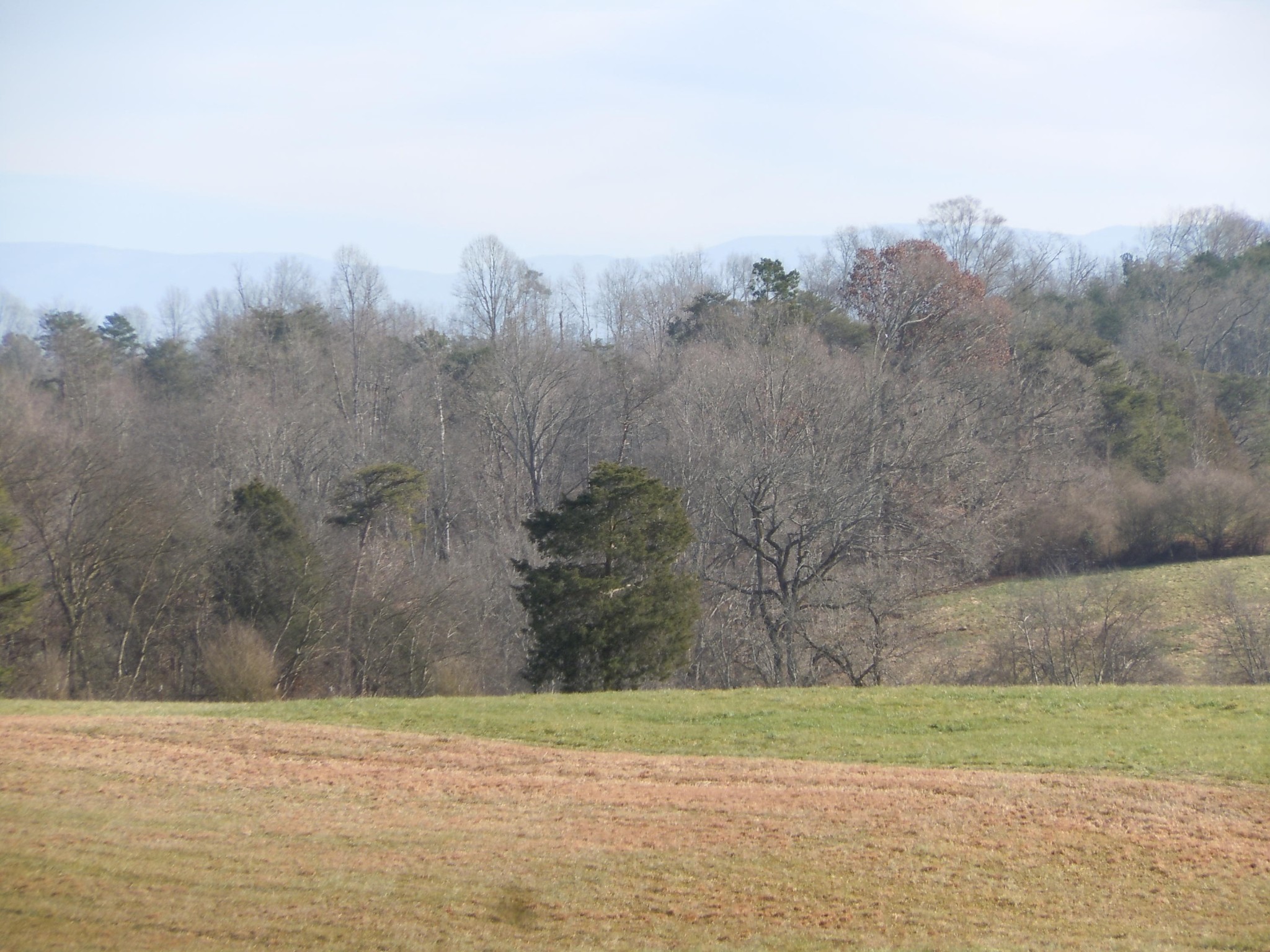 163 Weaver Road Madisonville, TN 37354 - Photo 6 of 19 Gallery Image 6