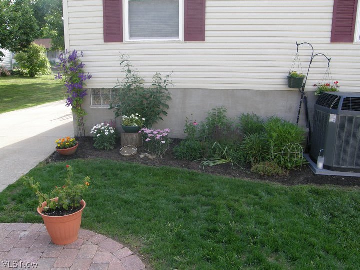 655 Bridge Road Akron, OH 44312 - Photo 25 of 25 Some of the many perennials that can be enjoyed in the near future.