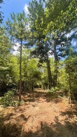 $120,000 | Tbd Tbd Mount, Franklin, TX 77856