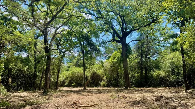 $120,000 | Tbd Tbd Mount, Franklin, TX 77856