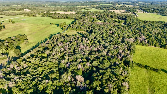 Tbd Tbd Mount Franklin, TX 77856 - Photo 6 of 13 Bird's eye view