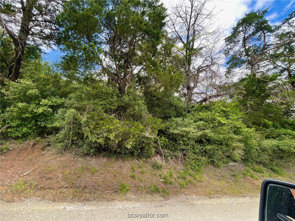 Tbd Tbd Mount Franklin, TX 77856 - Photo 8 of 13 View of local wilderness