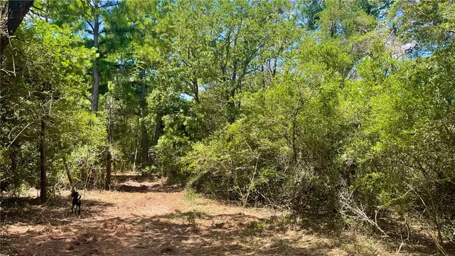 $120,000 | Tbd Tbd Mount, Franklin, TX 77856