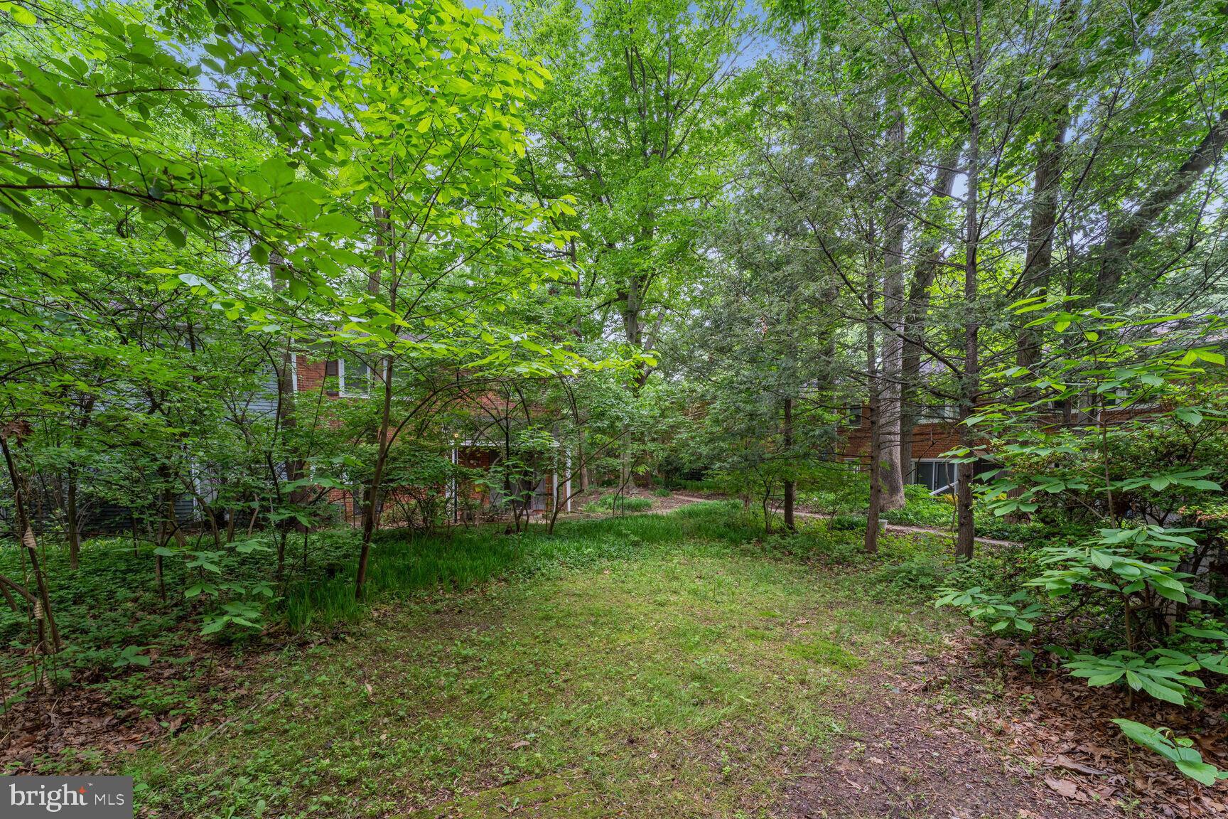 8532 Geren Road, Unit 174 Silver Spring, MD 20901 - Photo 15 of 15