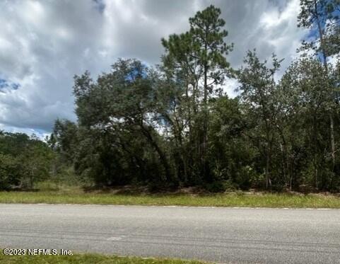 203 Whispering Pines Road Georgetown, FL 32139 - Photo 1 of 6 a view of a yard