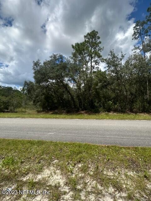 203 Whispering Pines Road Georgetown, FL 32139 - Photo 2 of 6 a view of yard with ocean view
