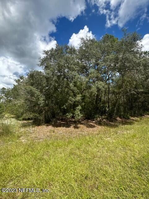 203 Whispering Pines Road Georgetown, FL 32139 - Photo 3 of 6 a view of a yard with a house