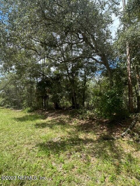 203 Whispering Pines Road Georgetown, FL 32139 - Photo 4 of 6 a view of a yard with trees