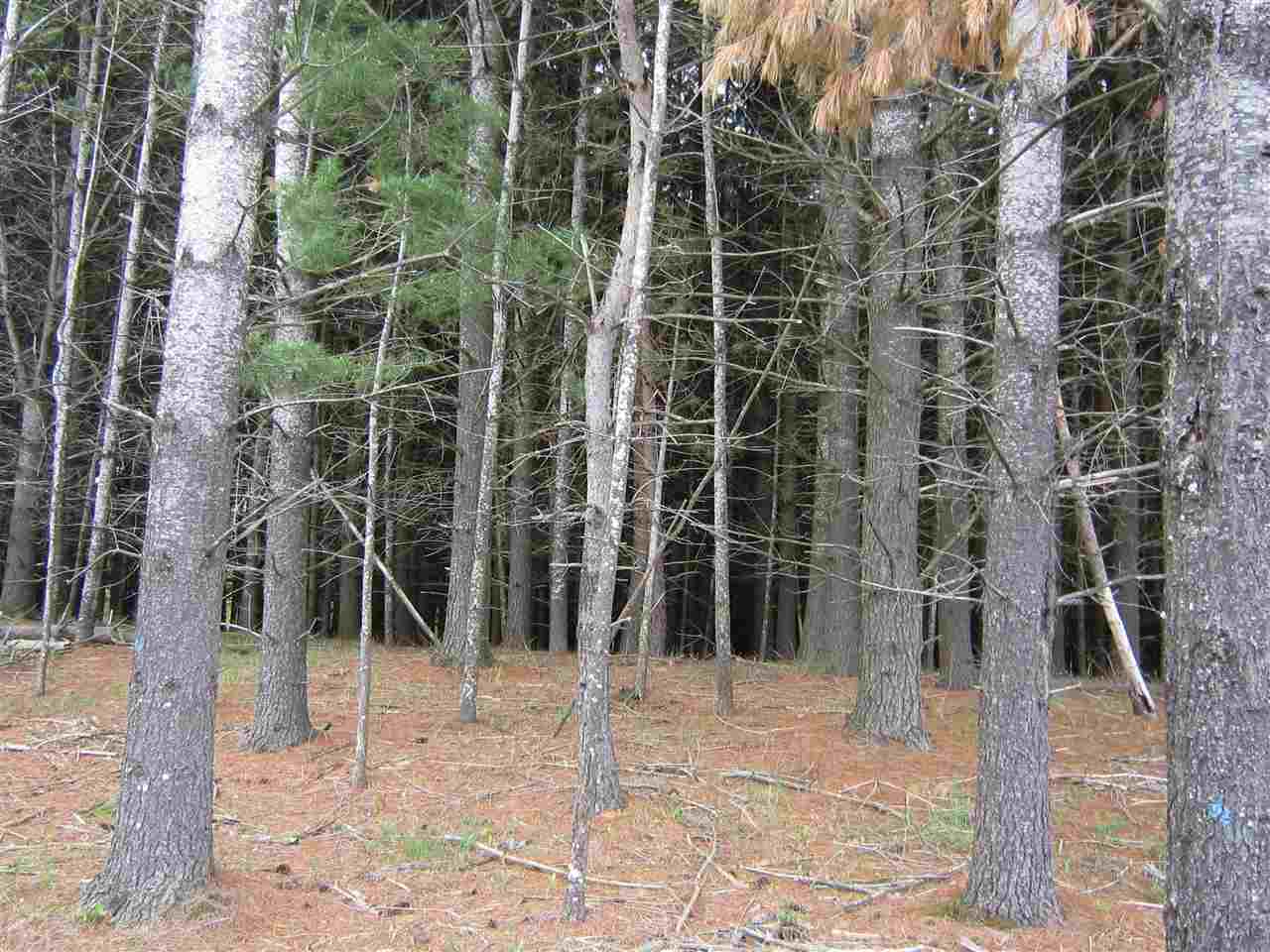 2900 Bass Lake Road Lupton, MI 48635 - Photo 81 of 86 1887746-85.JPG