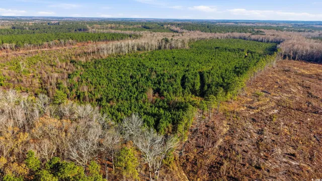 $399,000 | 34 Highway 34, Bishopville, SC 29010