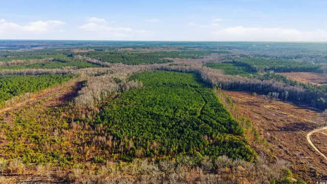 $399,000 | 34 Highway 34, Bishopville, SC 29010