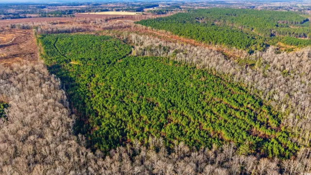 $399,000 | 34 Highway 34, Bishopville, SC 29010