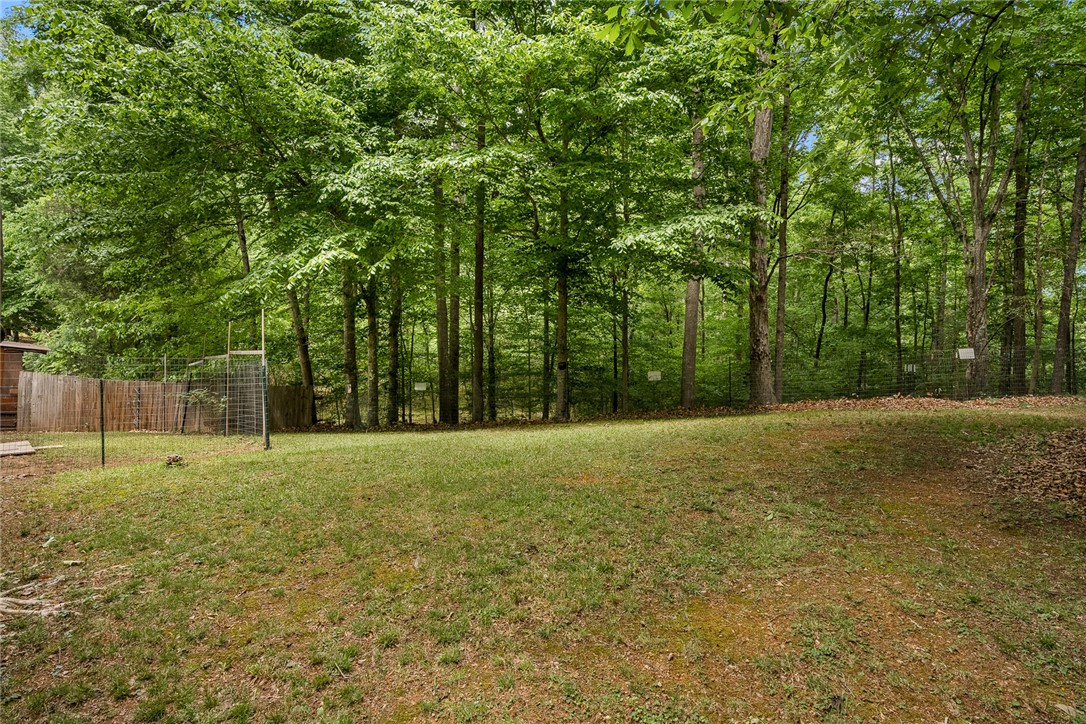 141 Lone Eagle Way Iva, SC 29655 - Photo 33 of 45