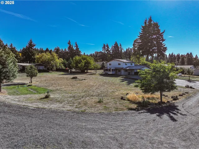 a view of a dry yard with trees