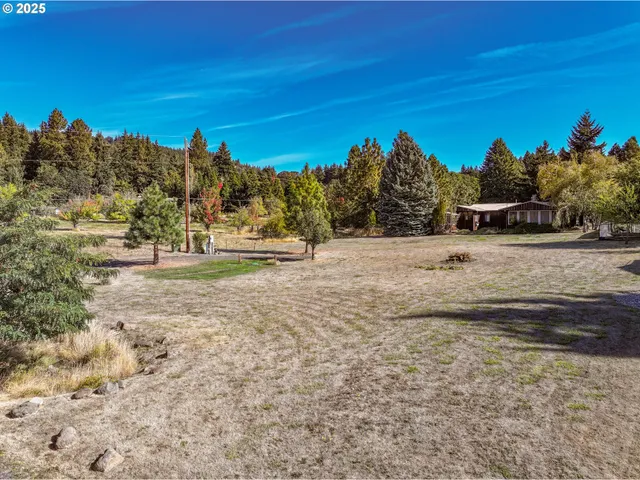 a view of dirt field with trees in background