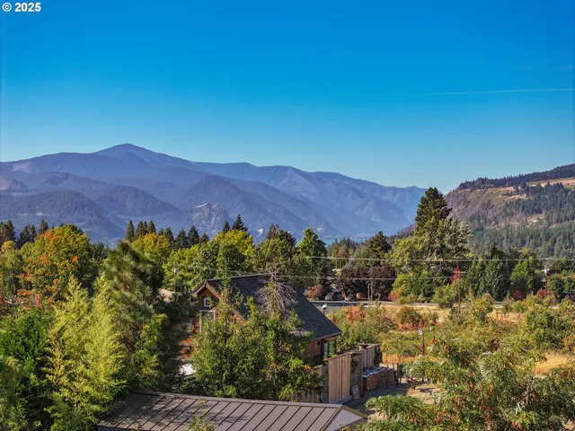 a view of a lush green field with mountains in the background