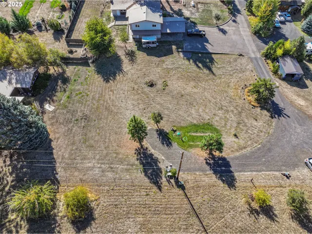 a view of a yard with plants