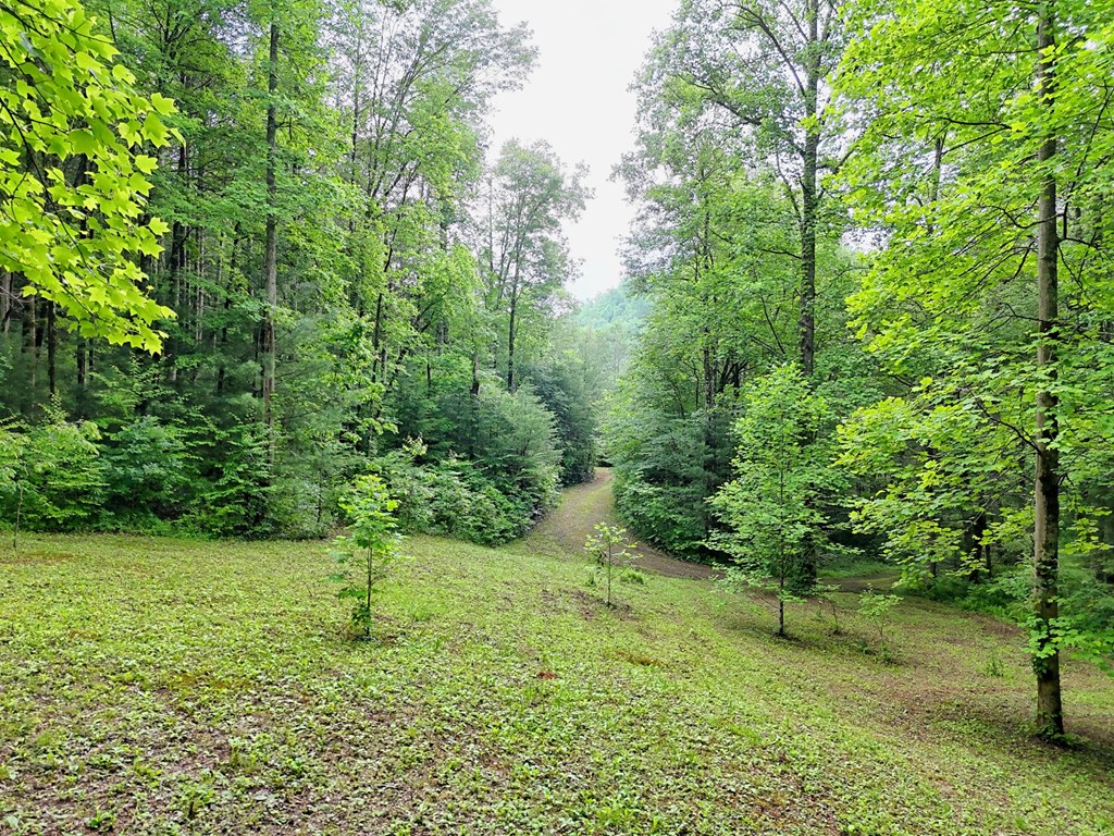 1070 Morgan Creek Road Marble, NC 28905 - Photo 15 of 40