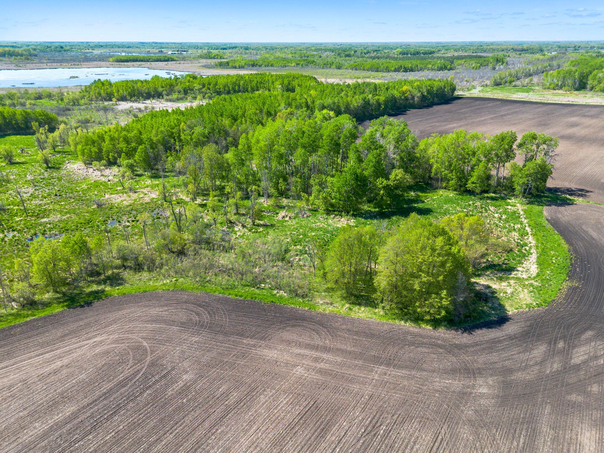 0 Xenon Road Northwest Dalbo, MN 55017 - Photo 19 of 29
