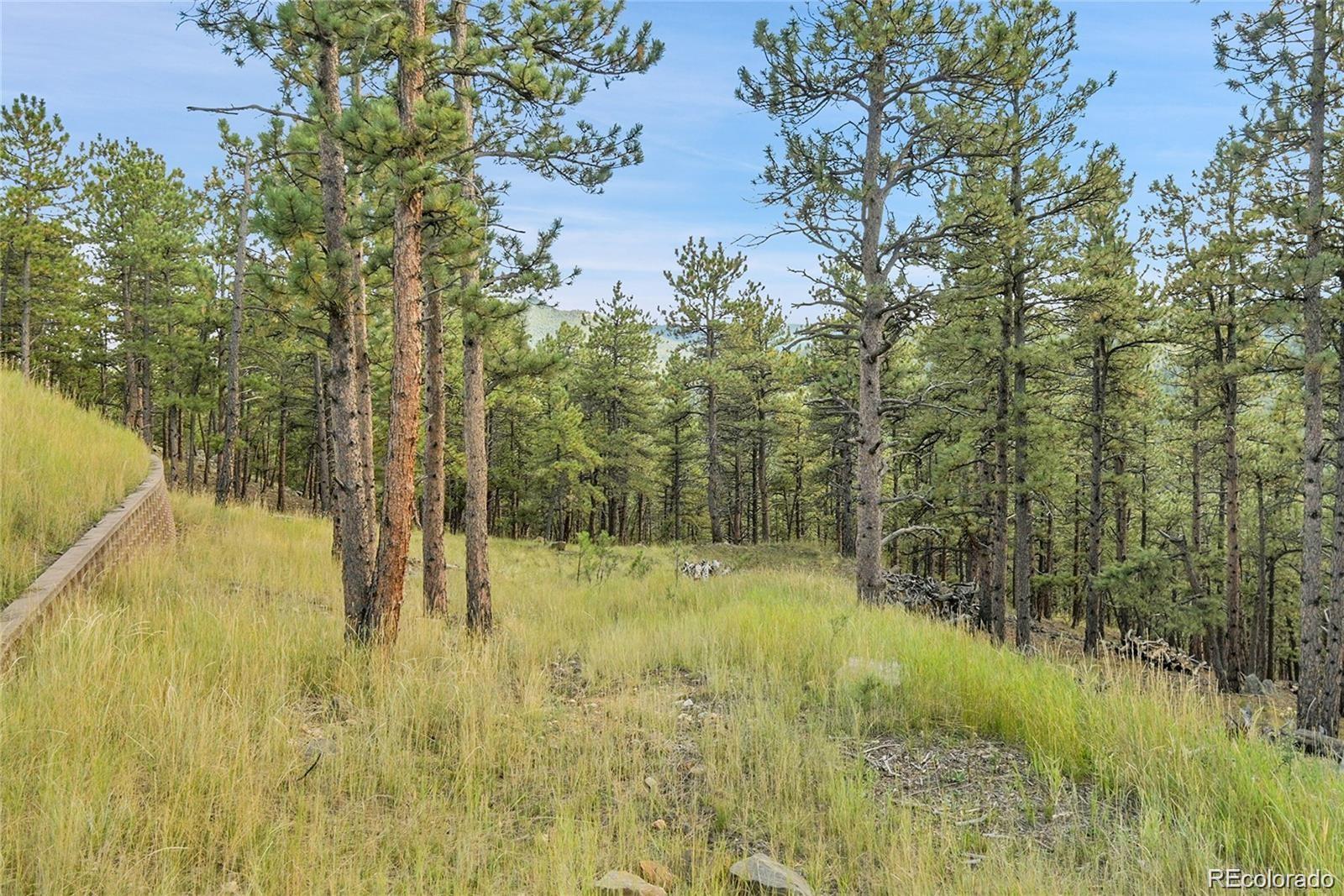2317 Wieler Road Evergreen, CO 80439 - Photo 11 of 26 Gallery Image 11