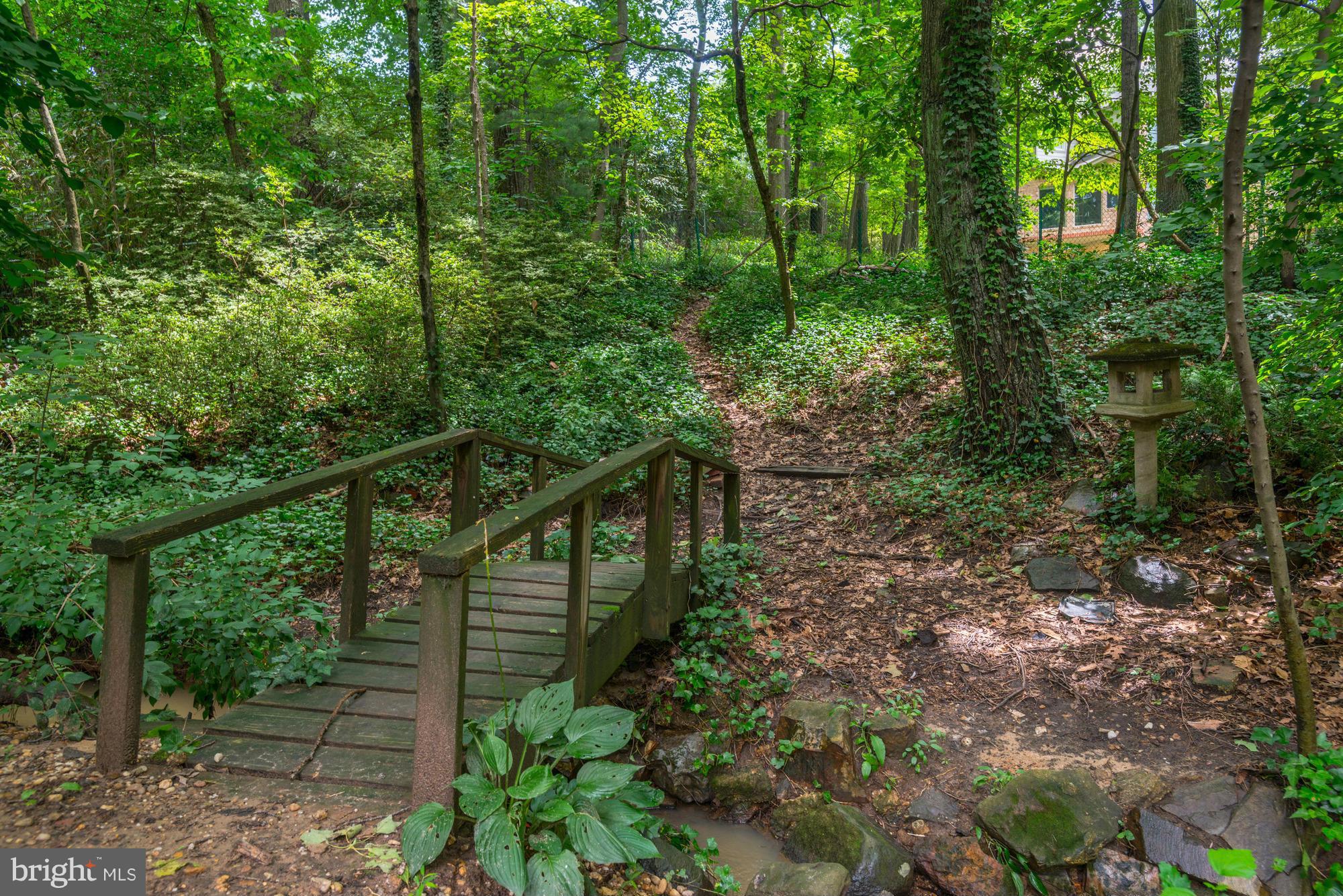 3035 Castle Road Falls Church, VA 22044 - Photo 21 of 24 Exterior (Rear)