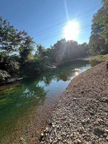2199 West Trace Creek Road Waverly, TN 37185 - Photo 5 of 7