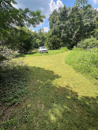 2199 West Trace Creek Road Waverly, TN 37185 - Photo 6 of 7