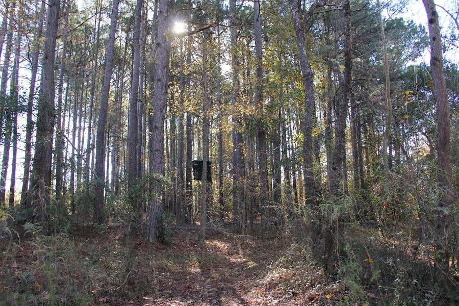 Norway Road Neeses, SC 29107 - Photo 1 of 19 Main View
