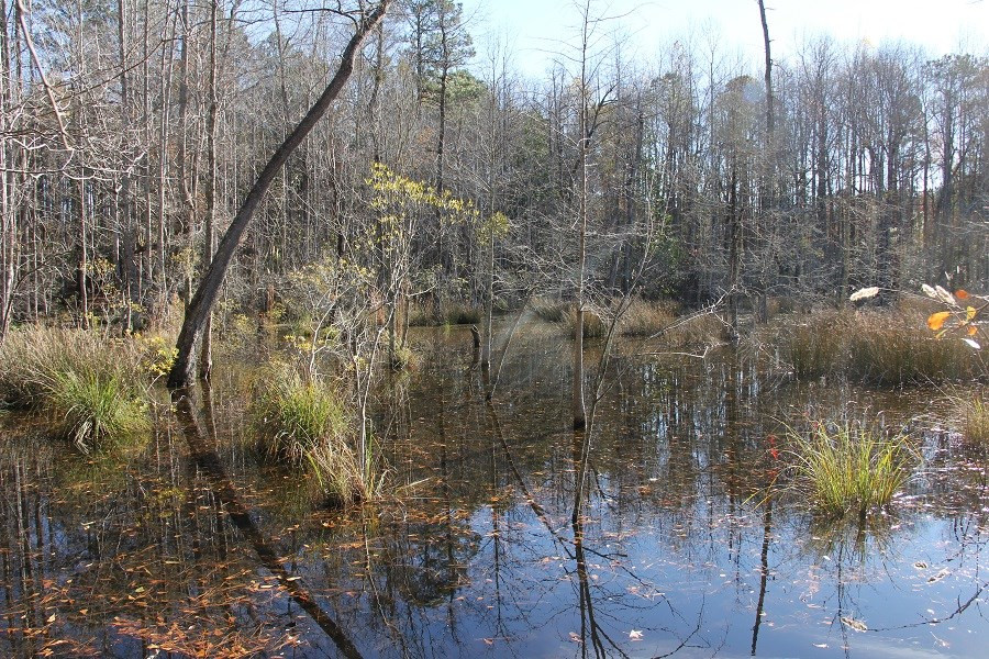 Norway Road Neeses, SC 29107 - Photo 15 of 19 Photo 15