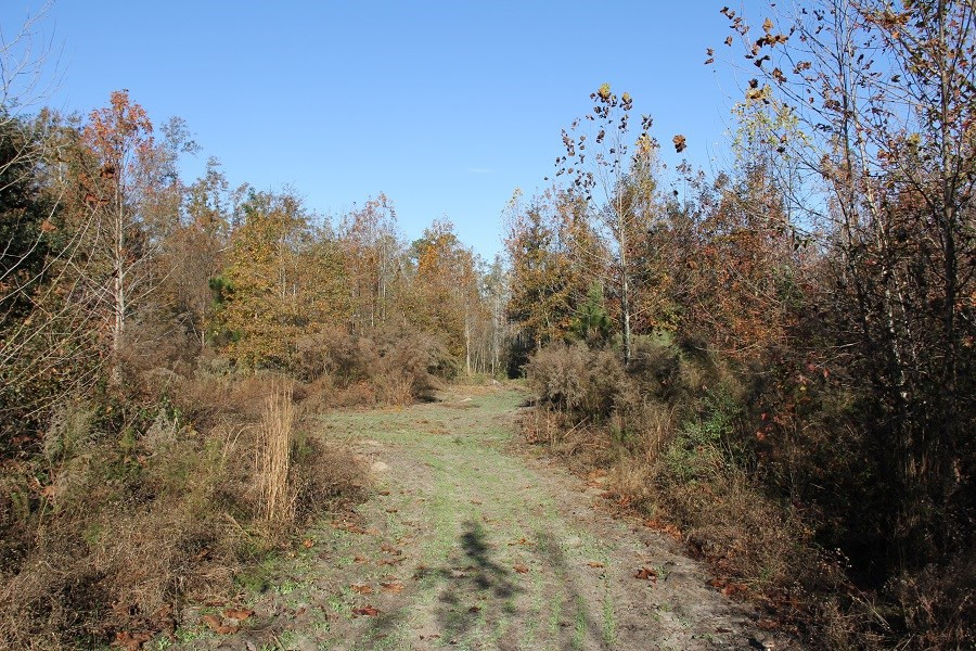 Norway Road Neeses, SC 29107 - Photo 6 of 19 Photo 6