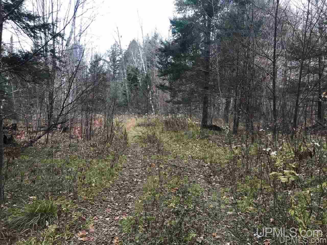 Tbd Off River Road, Unit 2 Hermansville, MI 49847 - Photo 1 of 34