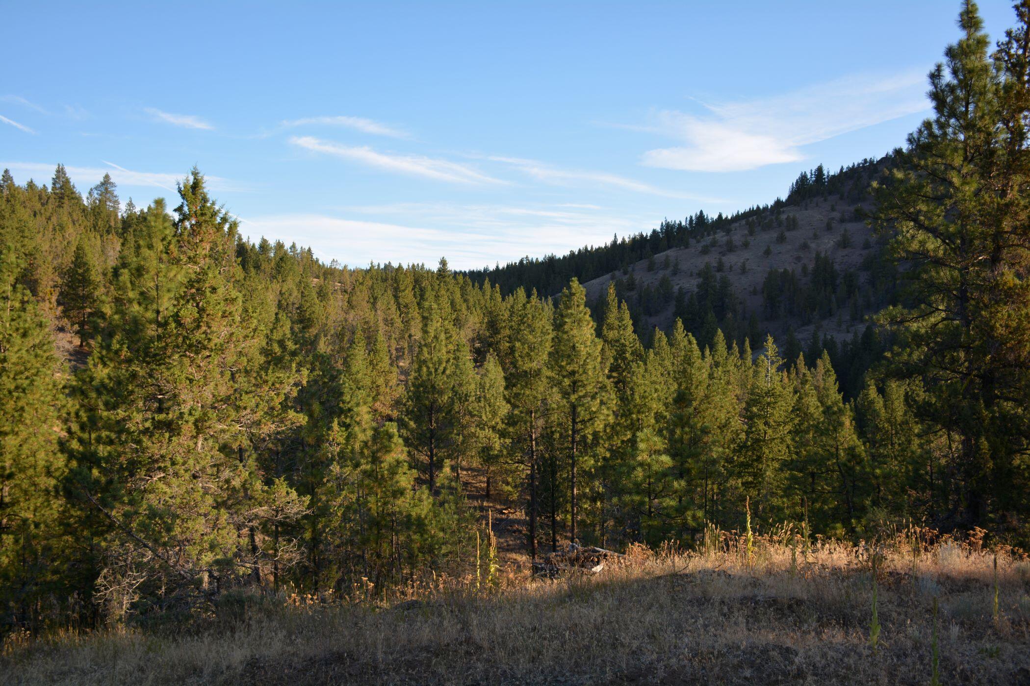 N/a N/a Coon Ridge Road Madras, OR 97741 - Photo 10 of 14 privacy oregon bugle butte mls