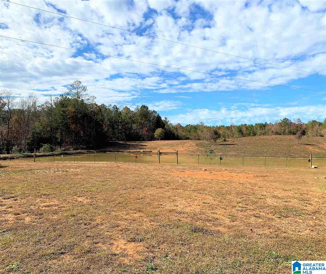 345 County Road 247 Fruithurst, AL 36262 - Photo 4 of 26