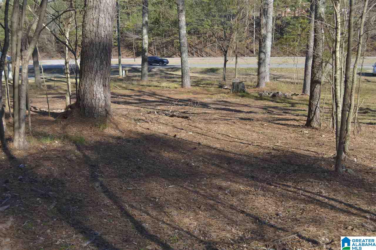 1845 Pelham Road South, Unit VACANT LOT Jacksonville, AL 36265 - Photo 9 of 11